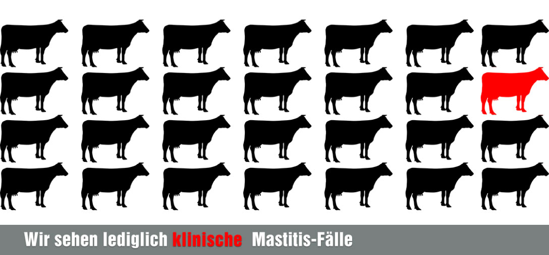 klinische Mastitis